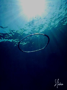 This image of a air ring was taken while finishing a safe... by Steven Anderson 